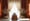 Draping Curtain: Step-by-Step Guide for Event Planners