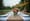 10 Creative Ways to Use Burlap Table Runners for Events