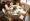 How to Choose the Perfect 60 Inch Round Tablecloth for Events