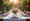 10 Reasons Cotton Table Linens Elevate Your Events