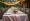 10 Essential Tips for Wedding Table Linen Rental Success