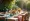 Master Outdoor Table Linen: Essential Steps for Event Planners